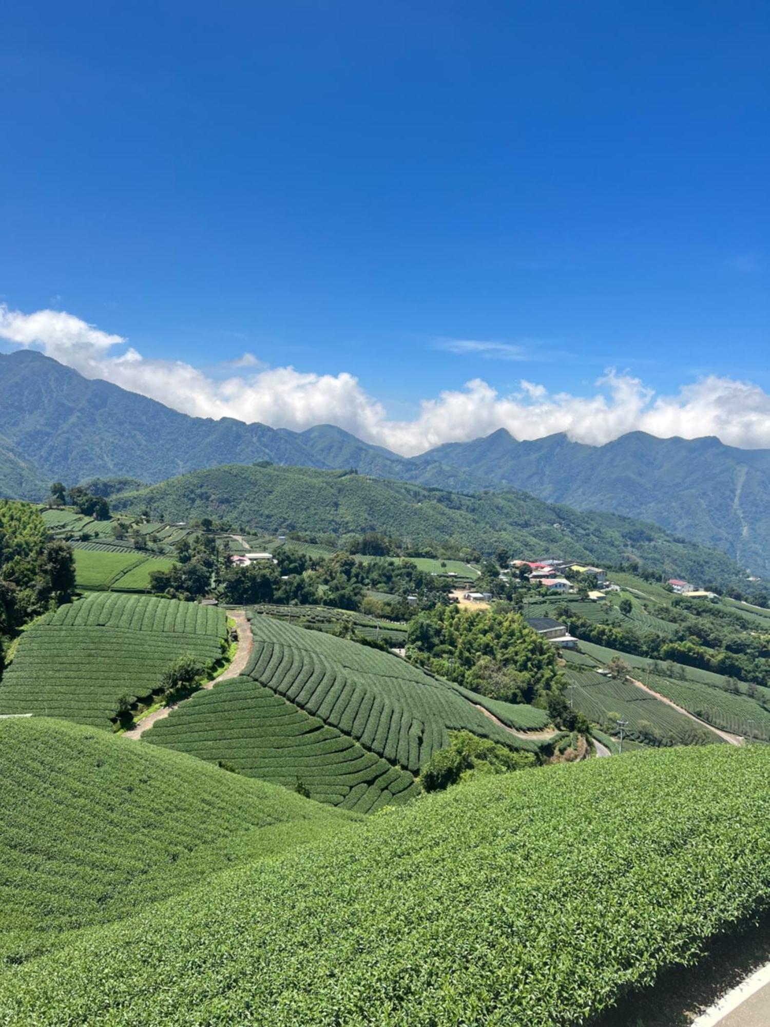 Gaodiyuan Tea B&B 高帝園茶業民宿 Meishan ภายนอก รูปภาพ