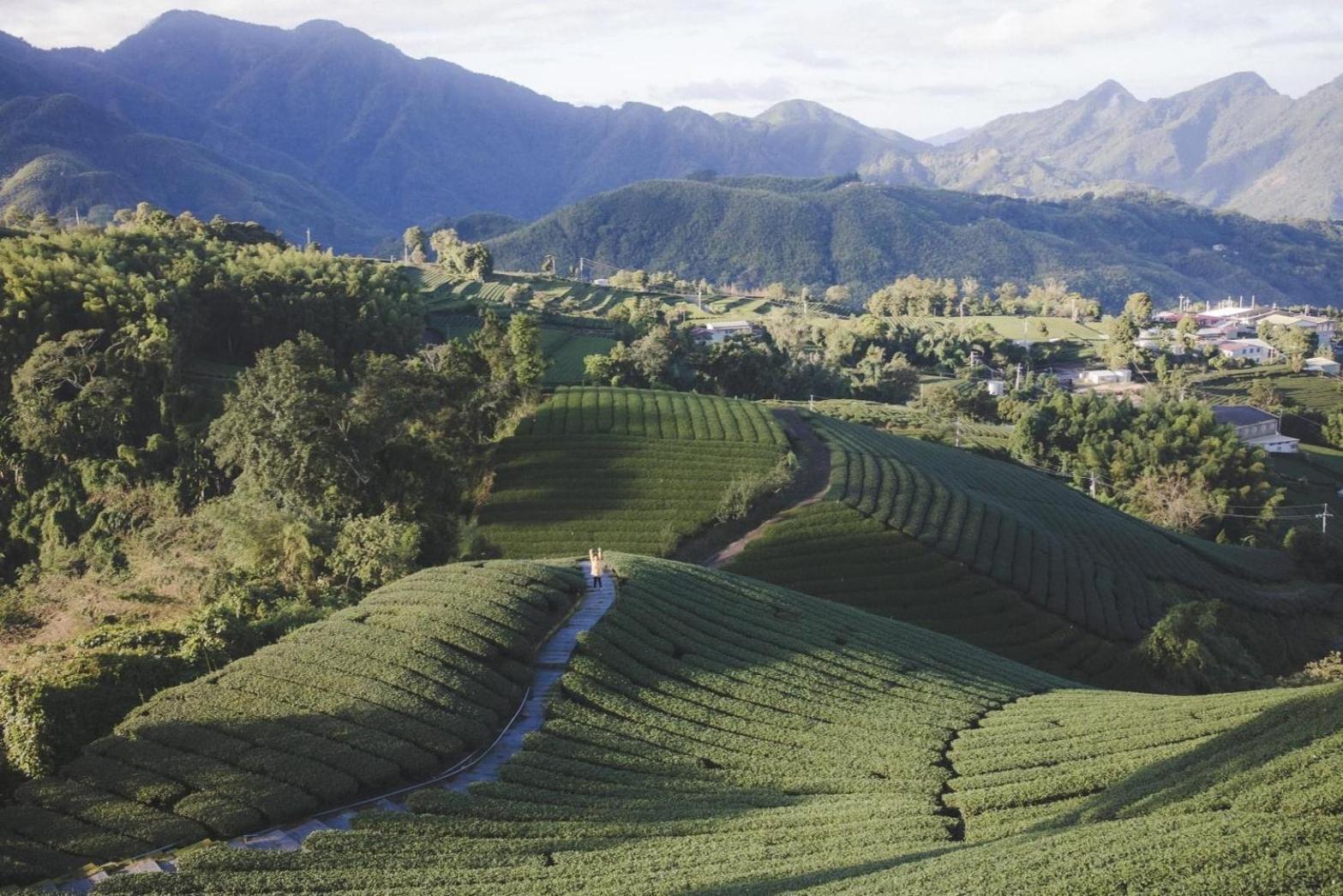 Gaodiyuan Tea B&B 高帝園茶業民宿 Meishan ภายนอก รูปภาพ